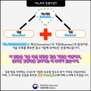 현대디에스 이미지
