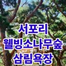 서포리관광지 이미지