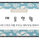 산단리 이미지