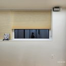 충무공동25 이미지