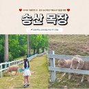 삼안목장 이미지