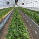 해랑농장 이미지