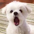 커피에반하다(하얀마을점) | [파주/운정] 스터디하기 좋은 운정 카페 커피에반하다 운정한울마을점 방문 후기!