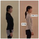 비벨라핏 이미지