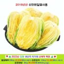 장터농장 이미지