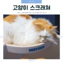 고로고로펫 이미지