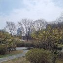 판교봇들공인중개사사무소 | 판교 부동산 탐방: 봇들마을8단지에서 시작하는 여정을 소개합니다