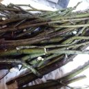 자연산약초마을 이미지