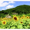 위봉산성마을 이미지