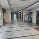 샤니안경 이미지