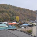 양지1리 이미지