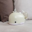 더 프로크린 이미지