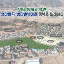 축사 악취 40년 고통···충북 괴산 시골마을, 귀농·귀촌 거점마을로 부활부동산투자적정시기투자유망지역추천세미나정보[부동산재테크1번지] 이미지