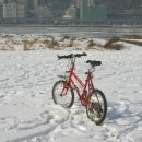 호미숙 자전거여행[꽁꽁 언 한강 - 얼음 예술 포토에세이] 이미지