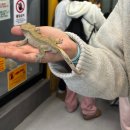 형제조류 | [수원] 실내동물원 수달앤 쥬 내돈내산 솔직후기