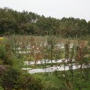 예천농장 이미지