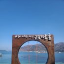 거제바다이야기 | 25.3.11.~12.거제도 근포해상콘도 감성돔, 볼락조행기(폭망 조행기, 냉수?)