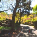 화성면사무소 이미지