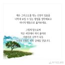 초등 독서회 | 처음처럼! 믿음의 작은 씨앗들