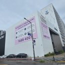 더 리체 이미지