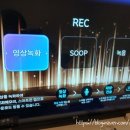 핑클노래연습장 네이버블로그