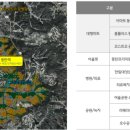 홈그린 마트 이미지