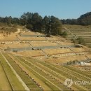 종교단체 자연장지 이미지