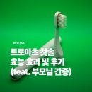 트로마츠 칫솔 효능 효과 및 후기(feat. 부모님 간증)