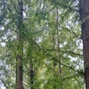 호산고등학교 이미지