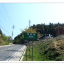 외포초교 뒤 이미지