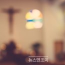 조이그루밍 이미지