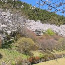 동물원 가는 길 이미지