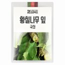 조은나무