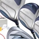 블루우드 이미지