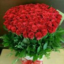 한올한올 이미지