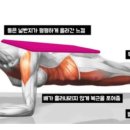 YS휘트니스 이미지