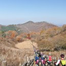 민둥산 Daum카페
