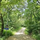 옥계2리마을 주차장 | 길 3코스 김포 애기봉평화생태공원-애기봉 전망대-마근포-시암2리-석탄리 철새조망지-전류리포구 여행기록