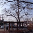 구성도서관 이미지