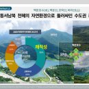 숲속의아침 이미지