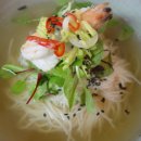 웰빙잔치국수 Daum카페