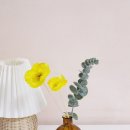 유어마이펫 이미지