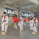 강담태권도 이미지