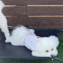 브루하하유치원 이미지