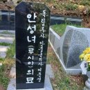 동명대학교 이미지
