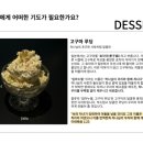잘루