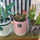 거제아트홀 이미지