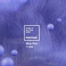 베리페리(veryperi)