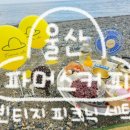 울산여행 강동몽돌해변 바로 앞, 촌캉스 빈티지 피크닉 세트가 있는 카페 &#34;파머스커피&#34; 내돈내산 후기