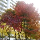 우만종합사회복지관 이미지